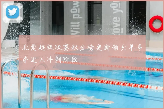 北爱超级联赛积分榜更新领头羊争夺进入冲刺阶段